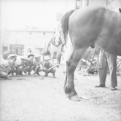 [Enfants d'une classe en visite chez le maréchal-ferrant]