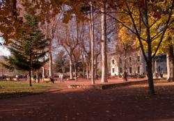 [Parc des droits de l'Homme à Villeurbanne : les boulistes]