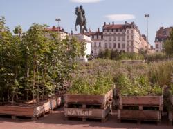 [Animation "Nature Capitale", place Bellecour]