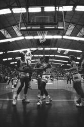 [Basket : ASVEL - Université d'Arizona (96-103)]