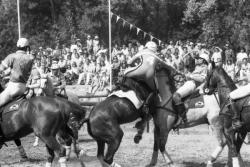 [Match de horse-ball à Miribel]