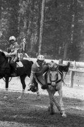 [Match de horse-ball à Miribel]