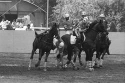 [Match de horse-ball à Miribel]