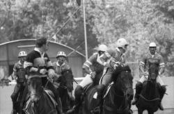 [Match de horse-ball à Miribel]