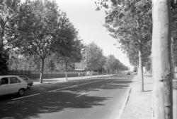 [Le boulevard Pinel]