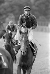 [Grand Prix de Lyon (1989)]