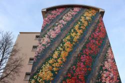 Fresque des Roses, Saint-Priest