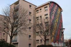 Fresque des Roses, Saint-Priest