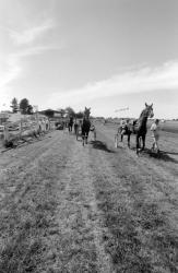 [Hippodrome de Saint-Galmier (Loire)]