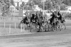 [Hippodrome de Saint-Galmier (Loire)]