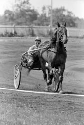 [Hippodrome de Saint-Galmier (Loire)]