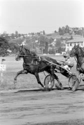 [Hippodrome de Saint-Galmier (Loire)]