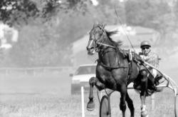 [Hippodrome de Saint-Galmier (Loire)]