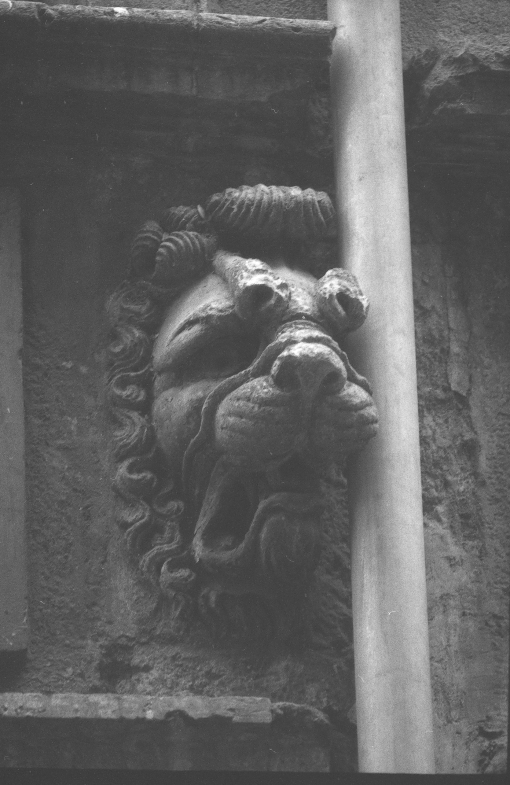 Les Lions de Lyon (sculptures)