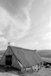 [Paysage des Monts-du-Forez (Loire)]