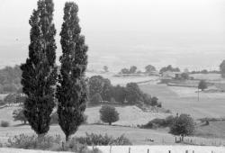 [Paysage des Monts-du-Forez (Loire)]