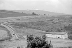 [Paysage des Monts-du-Forez (Loire)]