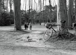 Parc de la Tête-d'Or