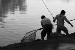 Pêcheurs au parc de la Tête-d'Or