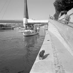 [Tourisme fluvial sur la Saône]