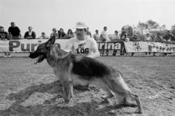 [Championnat de France d'élevage à Villefranche (1989)]