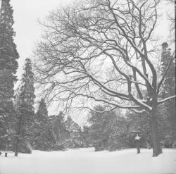 La neige à Lyon