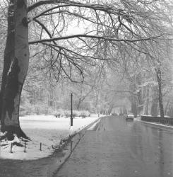 La neige à Lyon