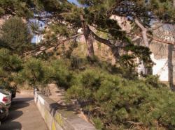 [Montée du Lieutenant Allouche, 1e arrondissement]