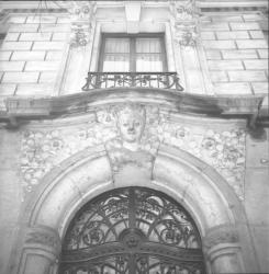 Les motifs 1900 "Belle Epoque" à Lyon