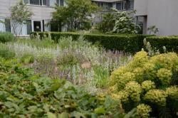 Le Jardin de l'Ecole Normale Supérieure Lettres et Sciences Humaines