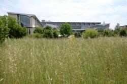 Le Jardin de l'Ecole Normale Supérieure Lettres et Sciences Humaines