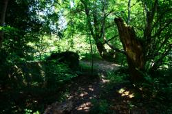 Francheville, vallée de l'Yzeron