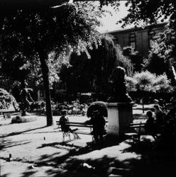 Jardin du musée Saint-Pierre