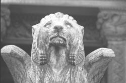 Les Lions de Lyon (sculptures)