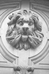 Les Lions de Lyon (sculptures)