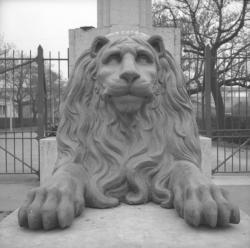 Les Lions de Lyon (sculptures)