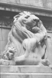 Les Lions de Lyon (sculptures)