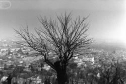 [Vue panoramique sur Miribel (Ain)]