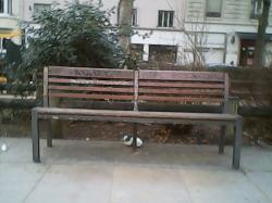 Un banc non respecté