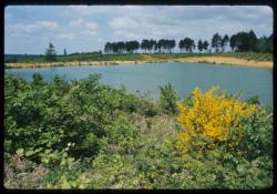 [Etang dans la forêt de Chambarand]