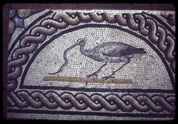 [Mosaïque romaine: oiseau et serpent musée lapidaire église Saint-Pierre, Vienne]