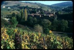 [Paysage et village, Sainte-Croix-en-Jarez]