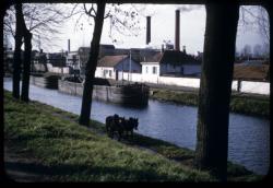 [Halage sur le canal latéral, Roanne]