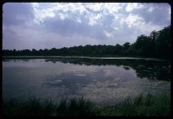 [Etang, Boën-sur-Lignon]