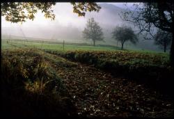 [Paysage, La Chapelle]