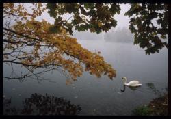 [Parc de la Tête-d'Or]