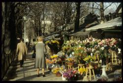 [Fleuristes, place Belllecour]