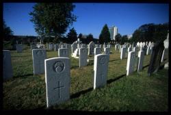 [Cimetière national militaire de la Doua]