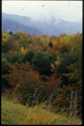 [Le mont Revard depuis Trévignin]