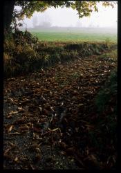 [Paysage, La Chapelle]